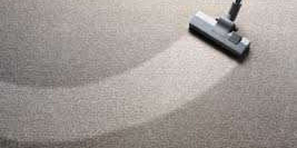 Protecting Your Carpets: The Crucial Role of Professional Cleaning Services