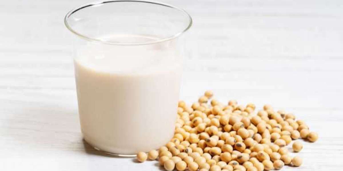 Organic Soymilk Market Size, Share, Trend & Growth