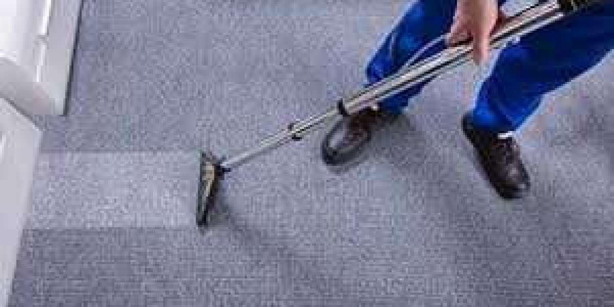 Why Every Home Needs Professional Carpet Cleaning for Allergen Control