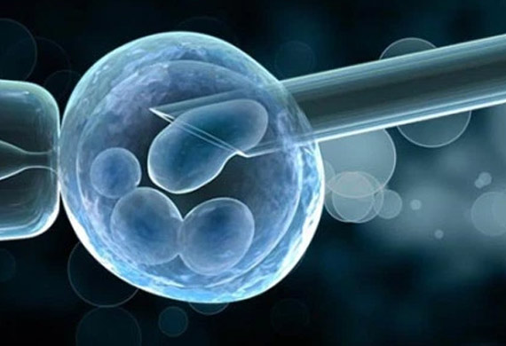 Best IVF Centre in Delhi NCR with High Success Rates